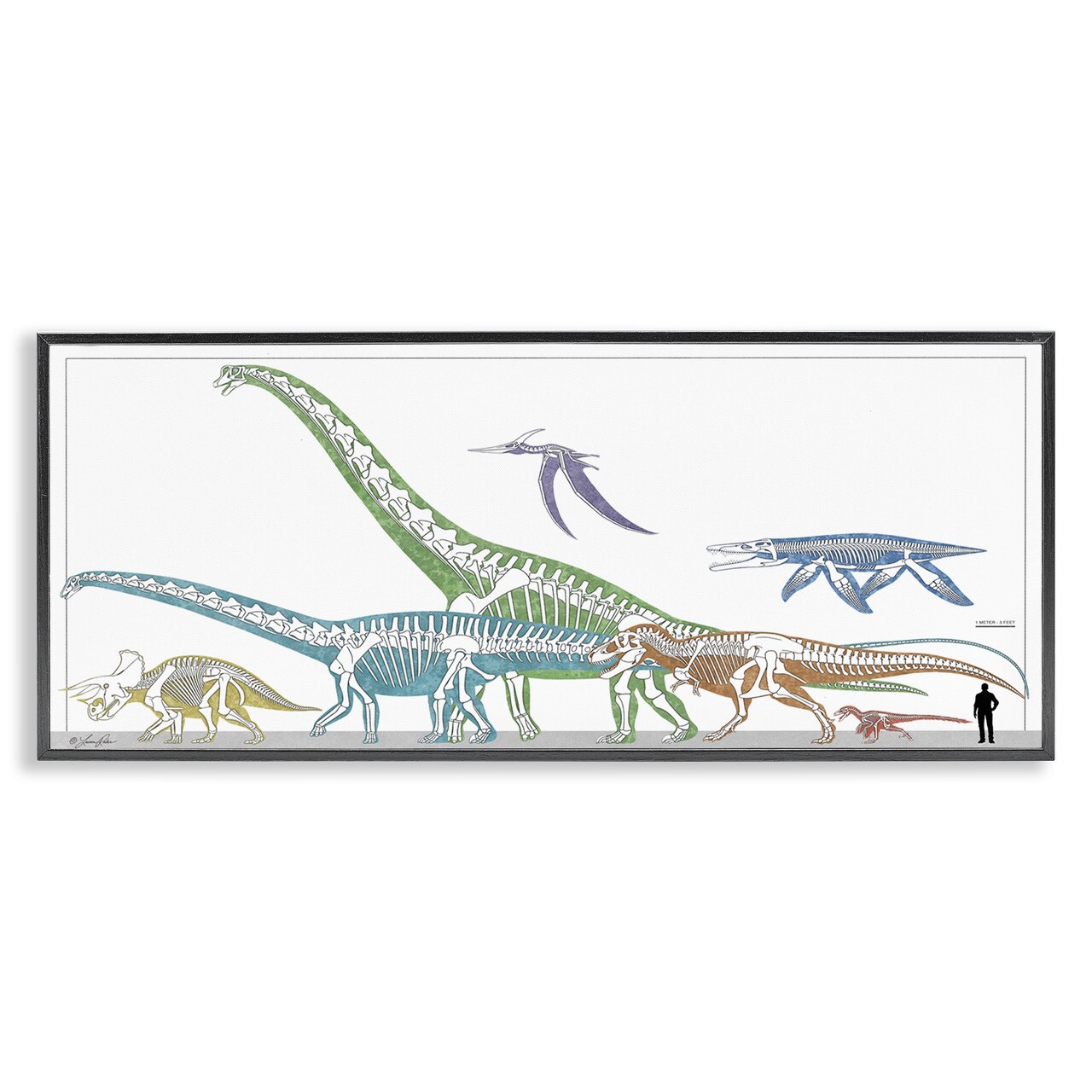 Stupell Industries Educational Prehistoric Skeletons Framed Giclee Wall Art Design by Lauren Rader